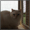 thumbnail12